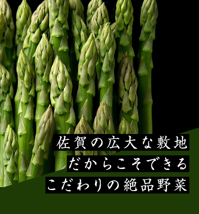 株式会社M's green